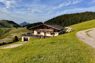Wildauer Alm