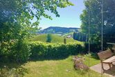 Ausblick